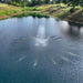 PondSelect Classic Series Pond Fountain - Crown Spray Pattern