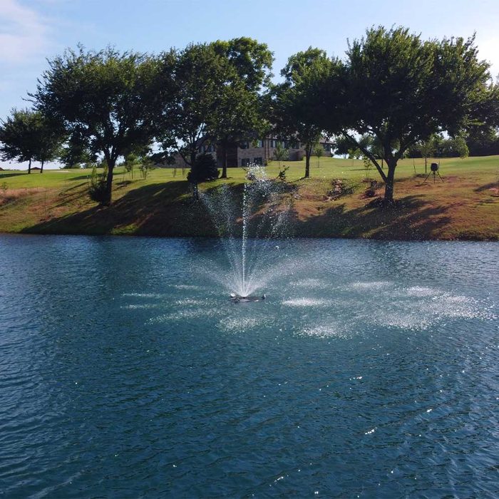 PondSelect Classic Series Pond Fountain - Palm Spray Pattern