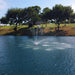 PondSelect Classic Series Pond Fountain - Palm Spray Pattern
