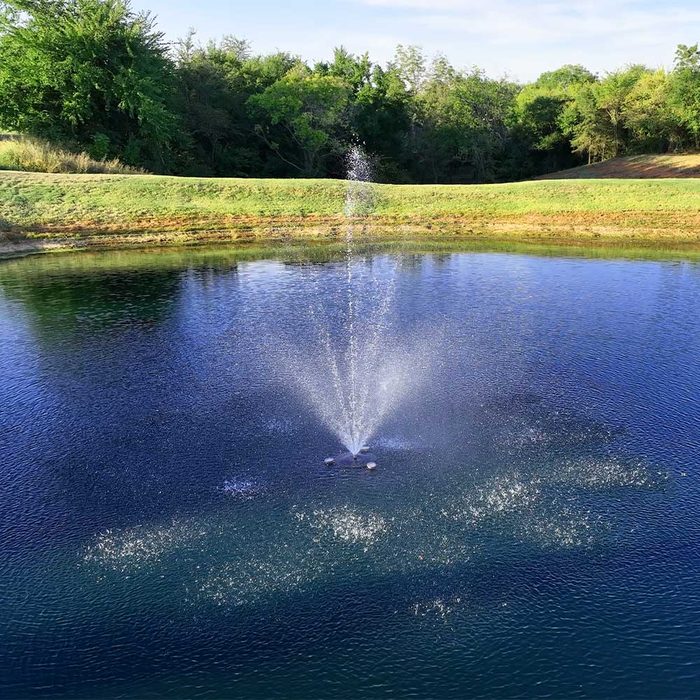 PondSelect Classic Series Pond Fountain - Starburst Spray Pattern