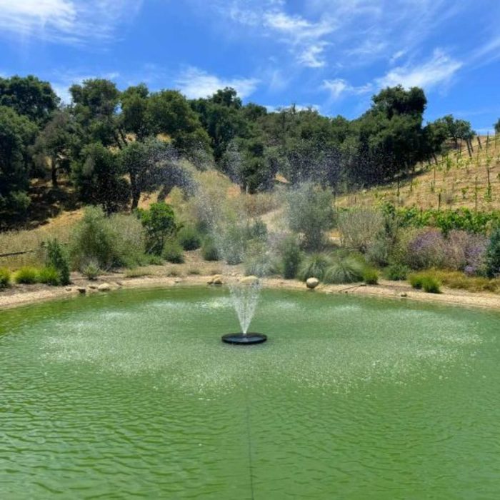 PondSelect Classic Series Pond Fountain - Trumpet Spray Pattern Shown