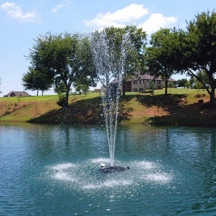 PondSelect Classic Series Pond Fountain - Trumpet Spray Pattern