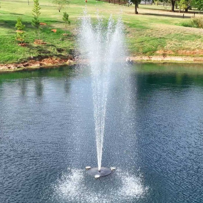 PondSelect E-Series 1/2 HP Pond Fountain - Arch Spray Pattern