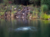 Scott Aerator Solar Sub-Surface Aeration System Diffusing On Water