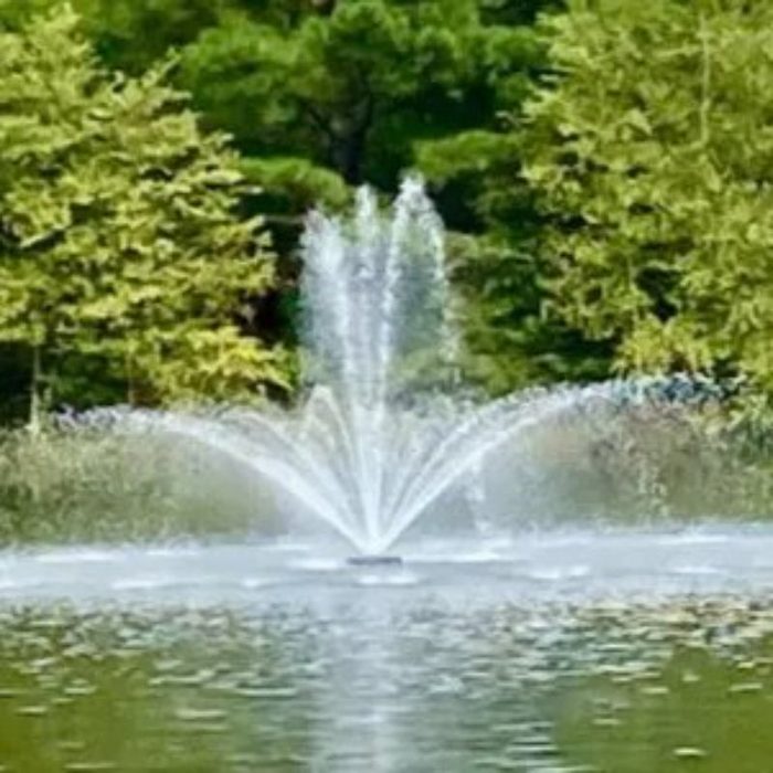 Vanguard Hydro Torque 550 Series Floating Fountain on Water Display with Trees at the Background