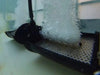 Vanguard Hydro Torque Solar Series Aeration System - Diffusing Under Water Close up View
