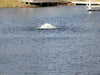 Vanguard Pond Spa Surface Aerator / De-Icer - On Water Display