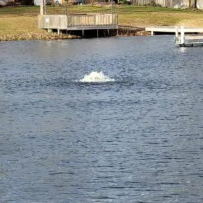 Vanguard Pond Spa Surface Aerator / De-Icer - On Water Display