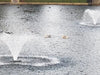 Vanguard Typhoon 3/4 HP Floating Display Aerator On Water Display Two Aerators