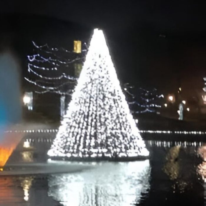 Floating Christmas Tree with White LED Lights in pond close up