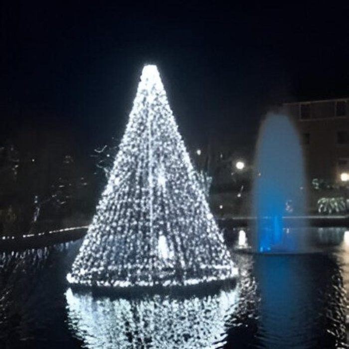Floating Christmas Tree with White LED lights next to foutain with blue lights
