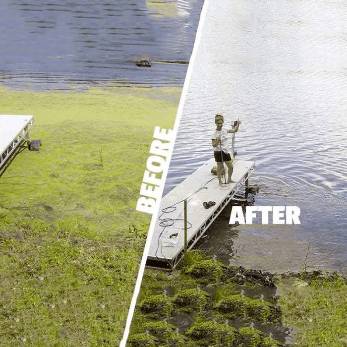 Before and after view of a shoreline cleared by the Scott AquaSweep