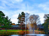 Scott Aerator Jet Stream Pond Fountain in a residential pond with a house in the background