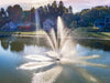 Scott Aerator Solar Atriarch Fountain in a pond with houses and trees