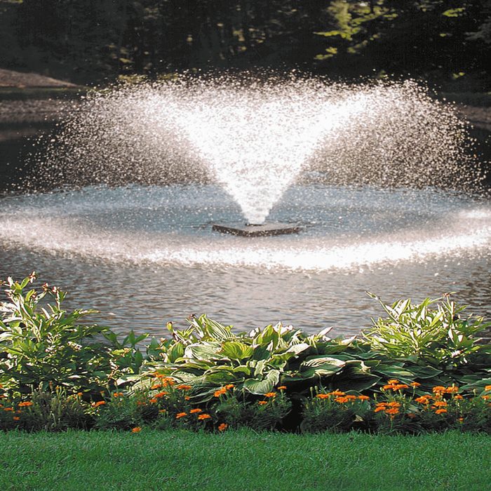Scott Aerator Solar DA-20 1/2 HP spray pattern detail