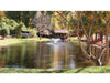Scott Aerator Solar DA-20 Pond Aerator on water with solar panel array
