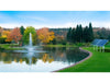 Scott Aerator Solar Skyward Fountain in a pond with autumn trees and solar panel array